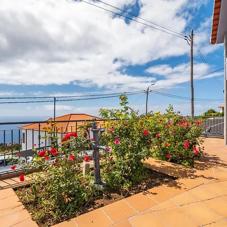 Linda Paisagem Tatil Evi